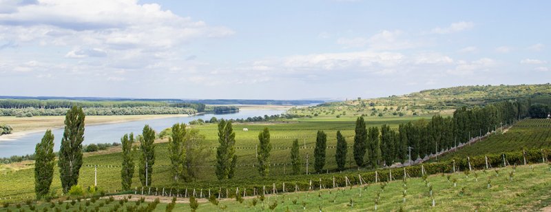 podgoria_ostrov