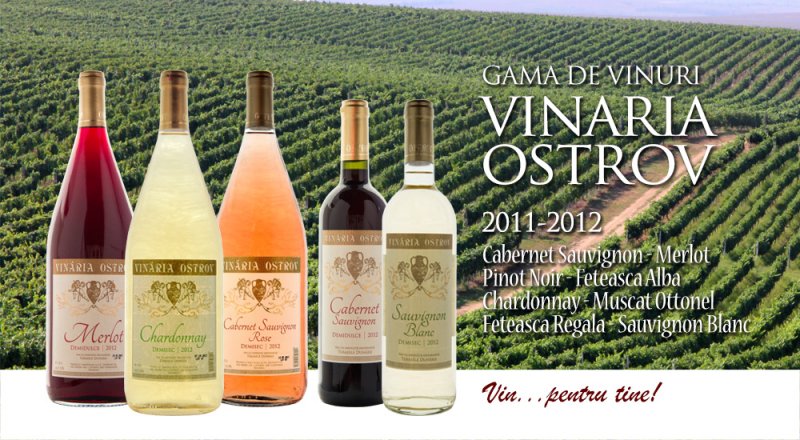 vinuri.vo